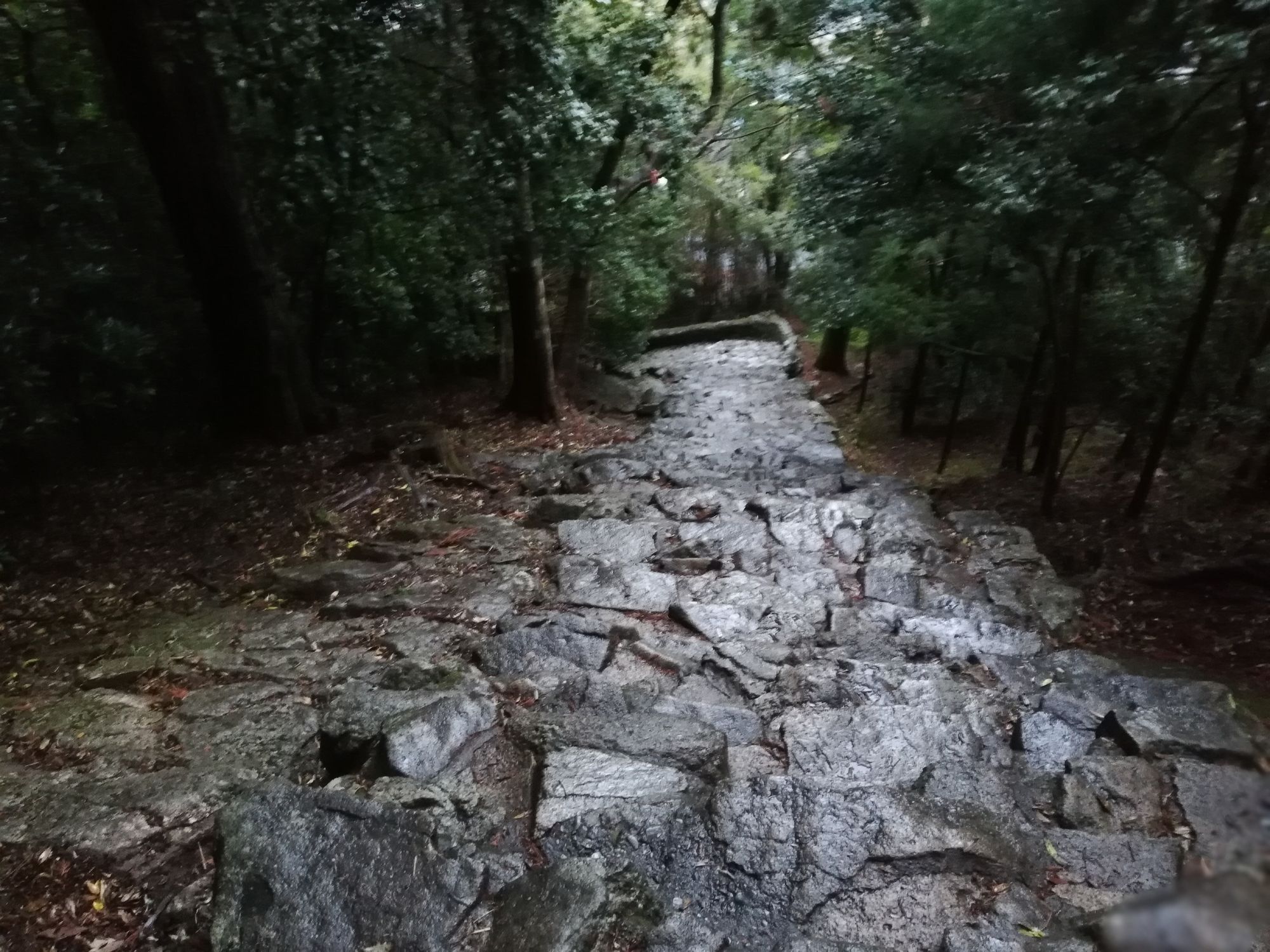 Kumano Kodo Sacred Pilgrimage