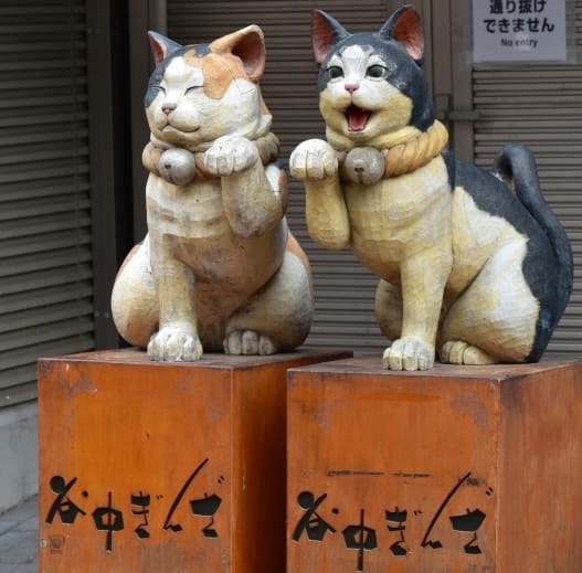 yanaka ginza shopping street cats