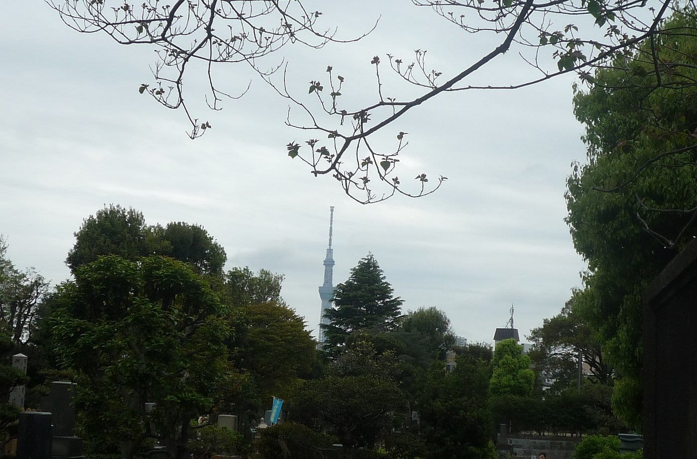 yanaka cemetery-sky tree