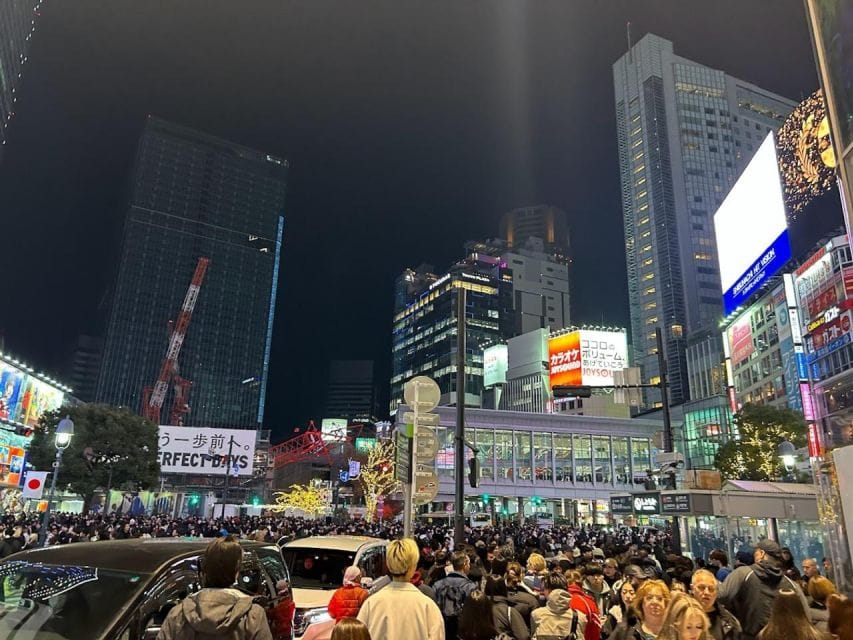 4 Hours Private Shibuya - Shinjuku Night Tour