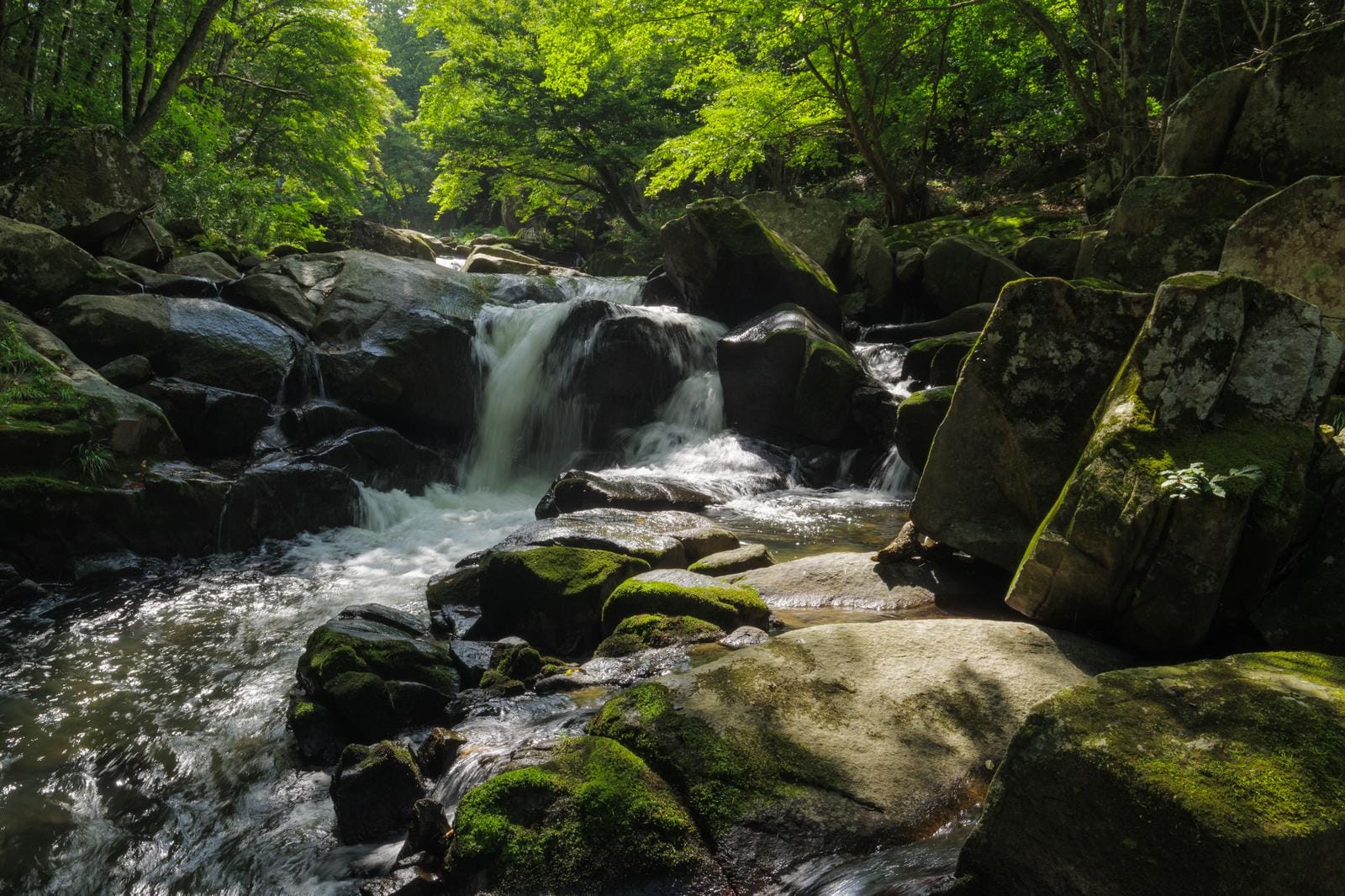 Water in Japan