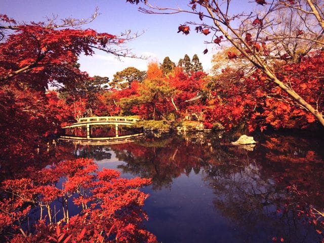 Eikando Zenrinji Temple