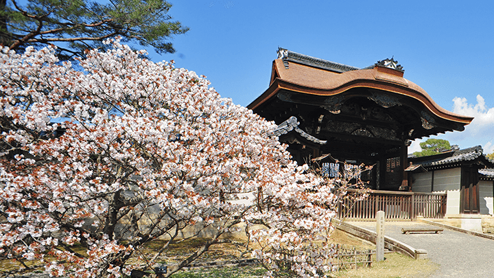 Ninnaji Temple