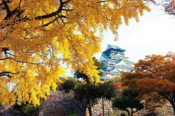 Osaka Castle Park