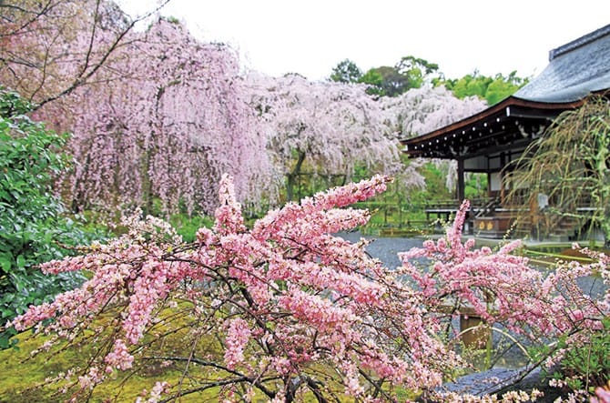 Tenryu-ji Temple