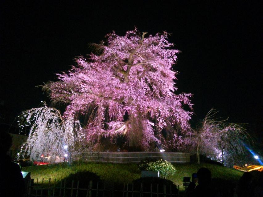 Maruyama Park