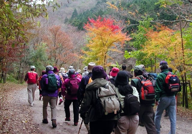 Hiking in Kyoto