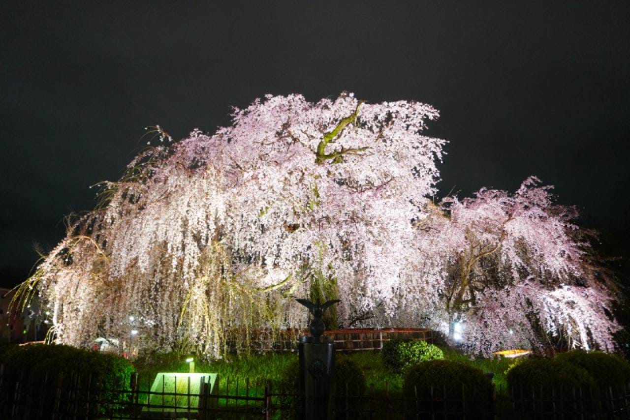 Maruyama Park