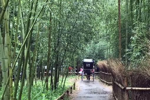 Arashiyama Rickshaw