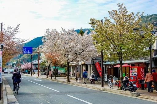 Arashiyama in Spring