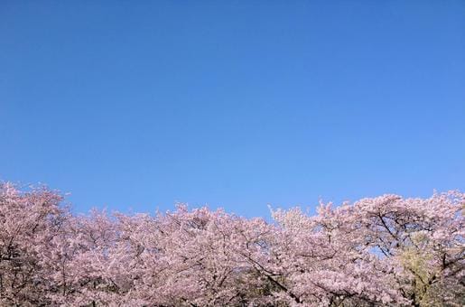 Banpaku Kinen Koen