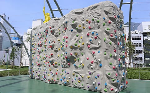 Bouldering wall