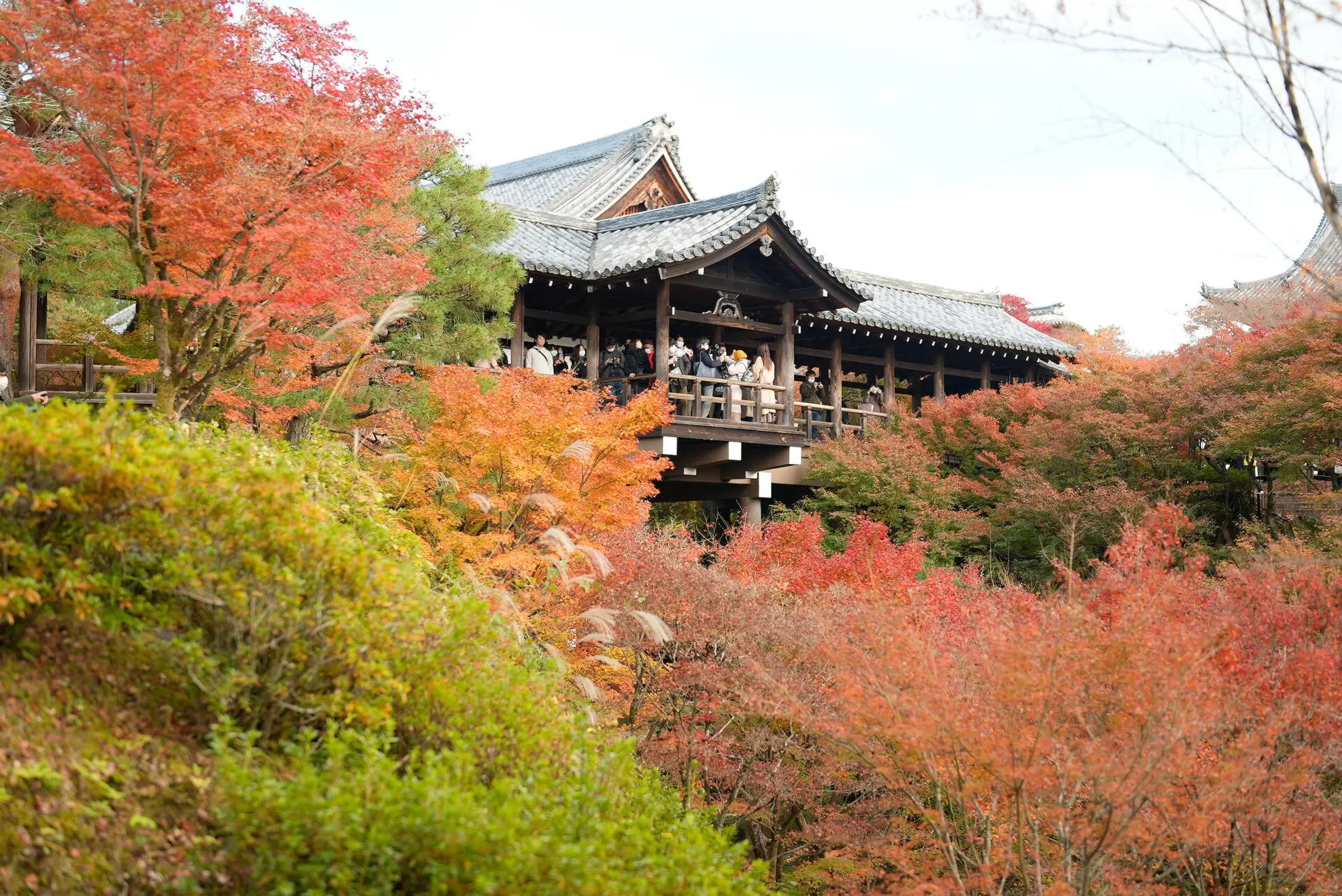 Tofuku-ji Temple