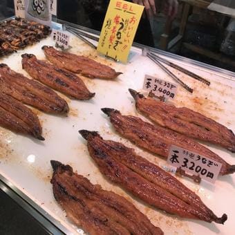 Eels in Nishiki Market