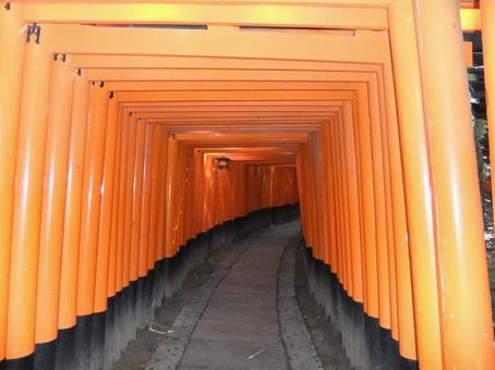 Fushimi Inari Torii Gates