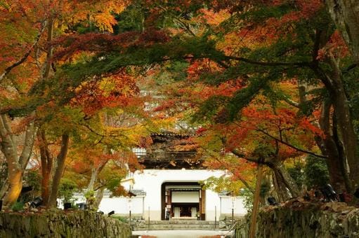 Koshoji Temple