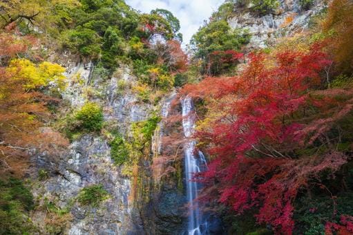 Minoh Park in Fall