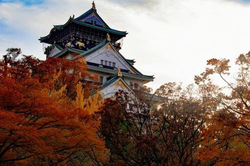 Osaka Castle Park in Fall