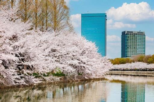 Osaka Castle Park in Spring