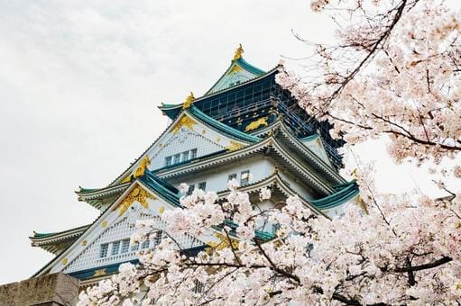 Osaka Castle and Sakura