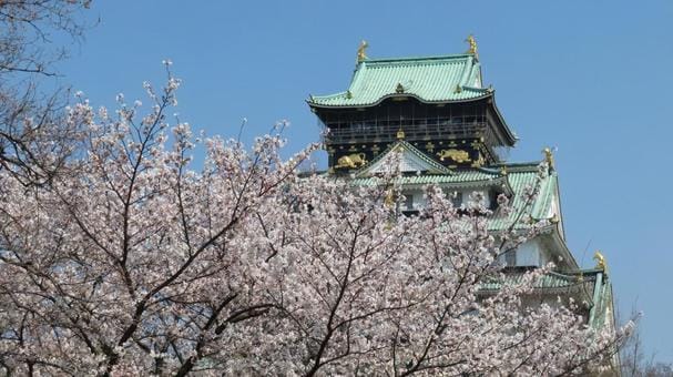 Osakajo and Sakura