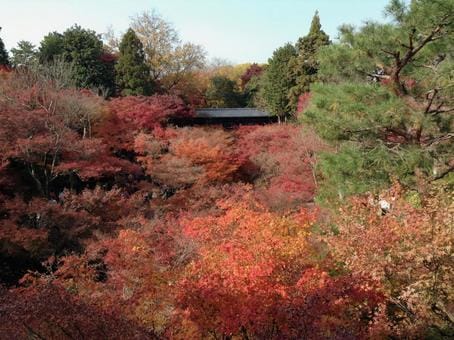 Tofukuji Temple