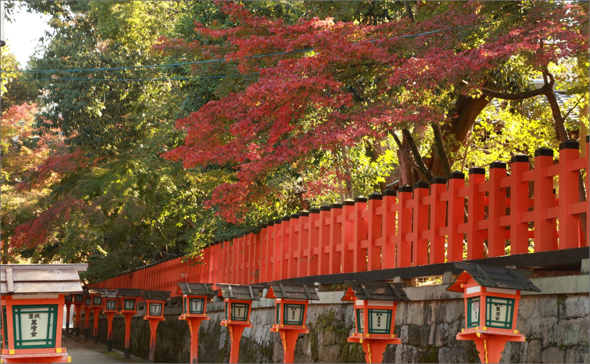 Autumn at Yasaka Jinja Shrine Colored by Autumn Leaves