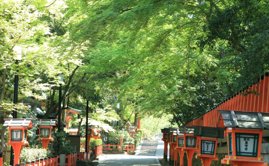 Summer at Yasaka Jinja Shrine: Festivals and Fresh Greenery
