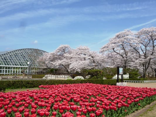 Kyoto Botanical Gardens