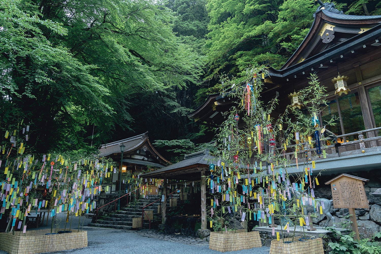 Tanabata Festival