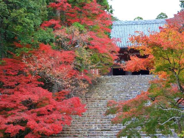 Jingoji Temple