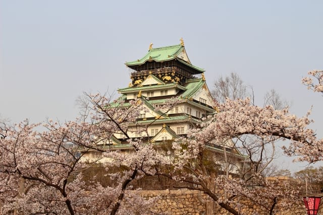 Spring in Osaka Castle Park