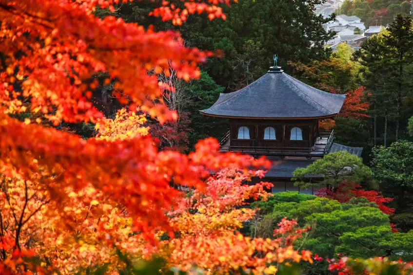 Autumn Foliage season