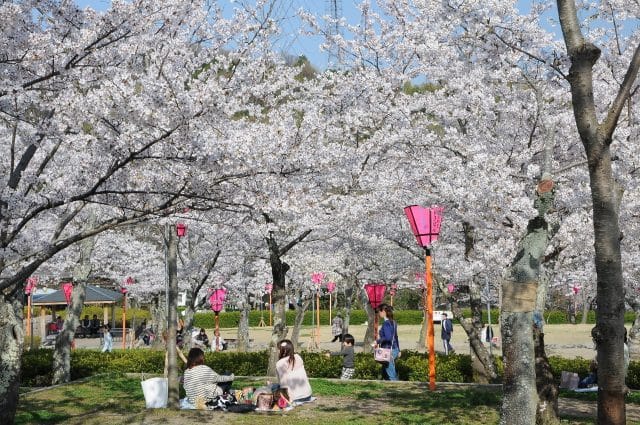 Settsukyo Park