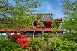 Ueno no Yama Cultural Zone Festival